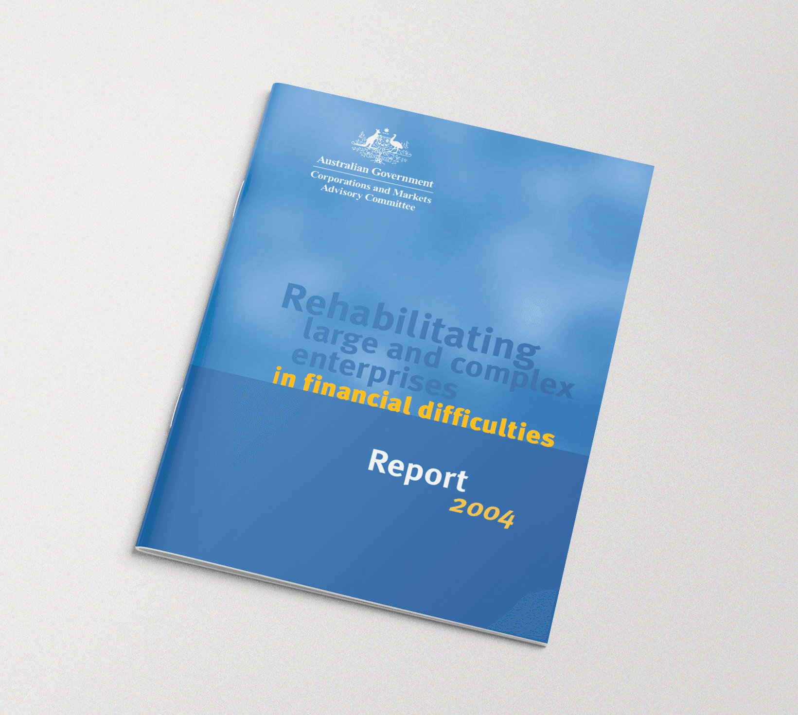CAMAC Report 2004 — Rehabilitating Large and Complex Enterprises (2004)