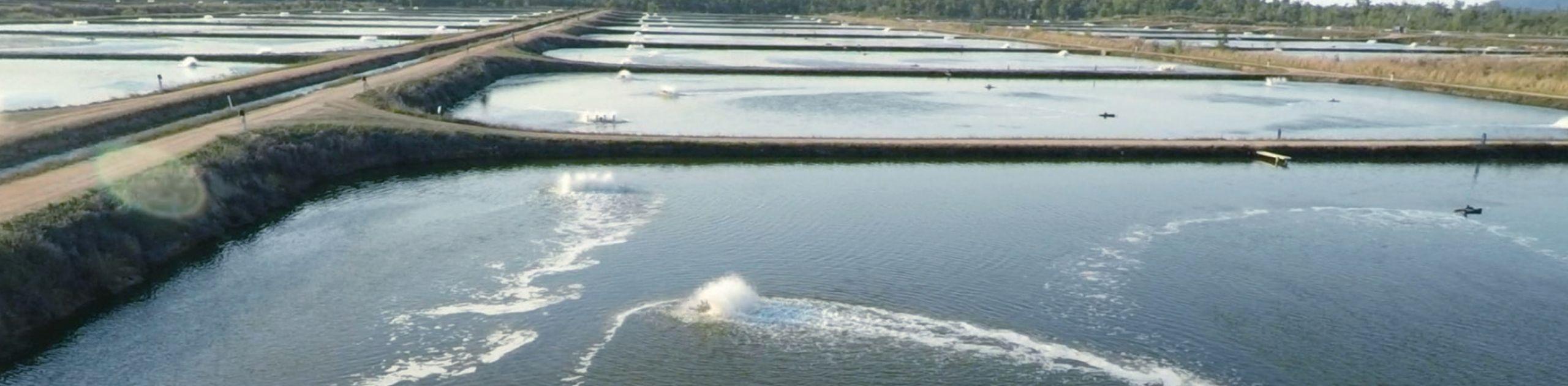 Spotlight on Solvency : Insolvent Trading considered in Seafarms case