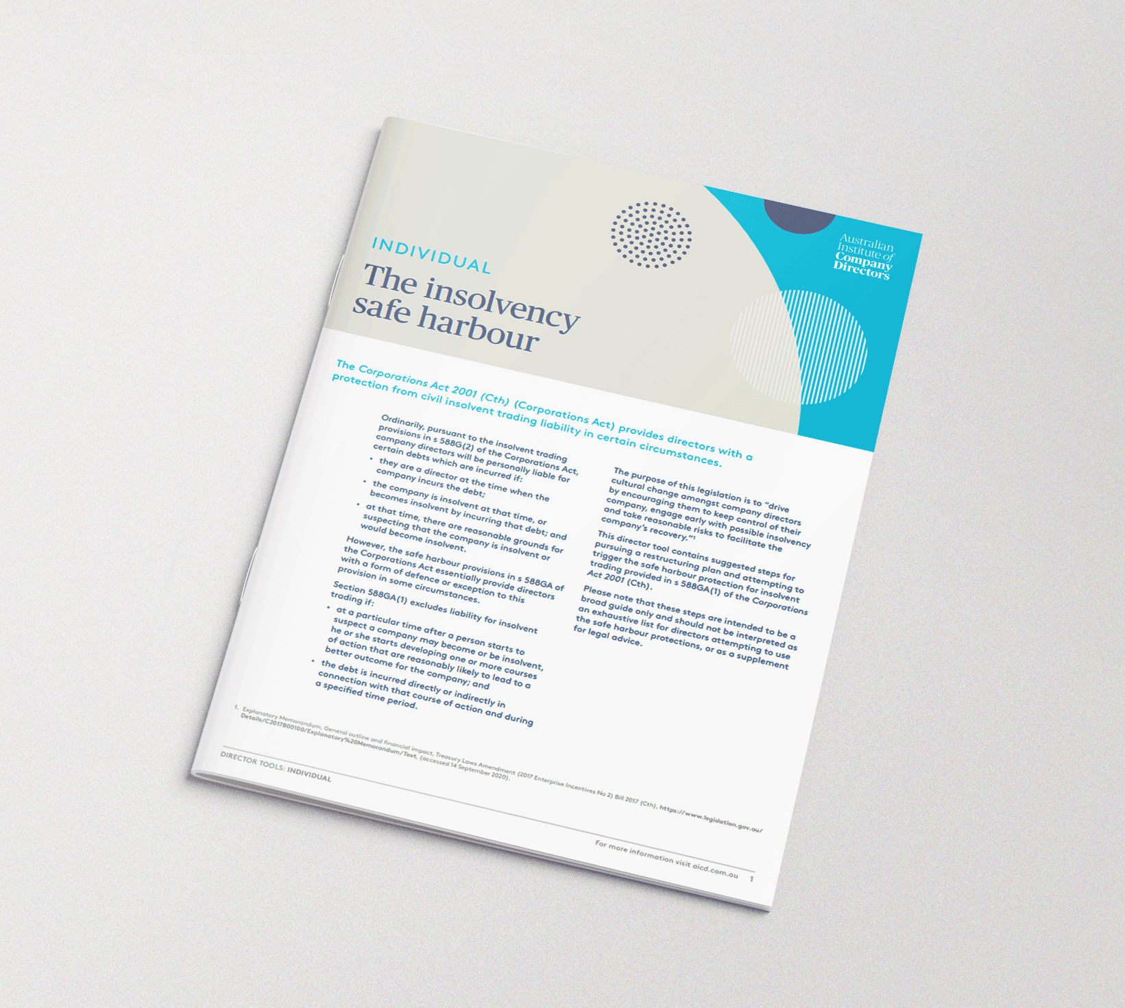 AICD Safe Harbour Outline for Directors (2021)