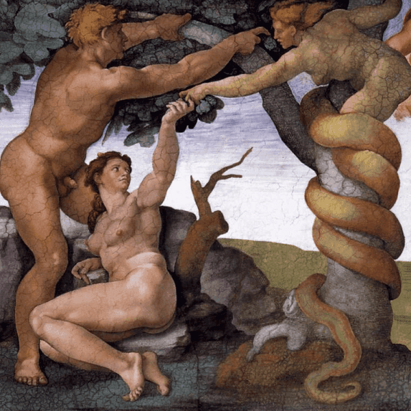 In the Beginning: The Genesis of the Safe Harbour Defence (2025)