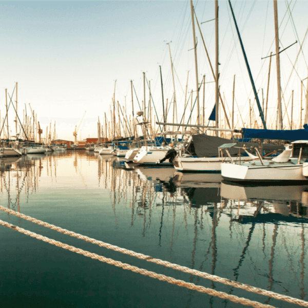 Safe Harbour - Is It Fit For Purpose? (2024)