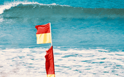 What is Voluntary Administration